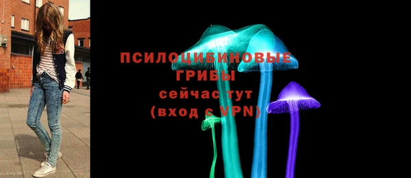 шишки Нея