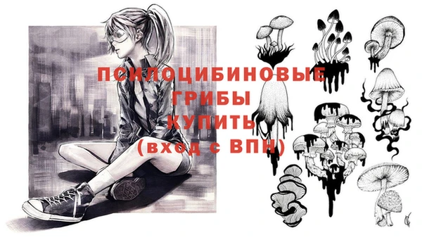 шишки Нея