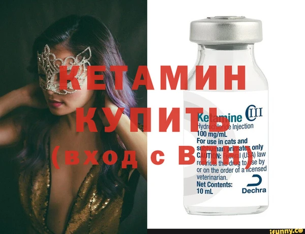 шишки Нея