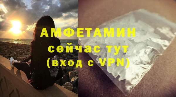 шишки Нея
