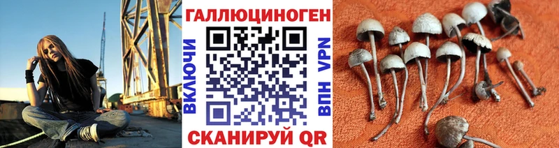 Псилоцибиновые грибы мицелий  дарнет шоп  Серов 