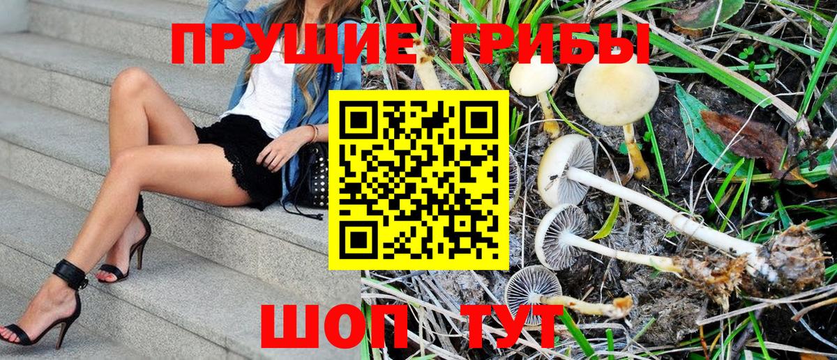 Галлюциногенные грибы мухоморы  Серов 