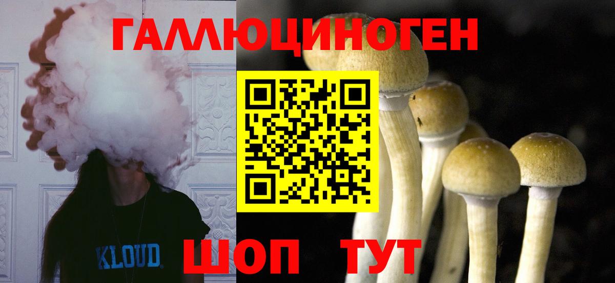 Галлюциногенные грибы мицелий Серов