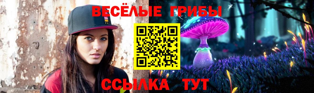 Псилоцибиновые грибы MAGIC MUSHROOMS Серов