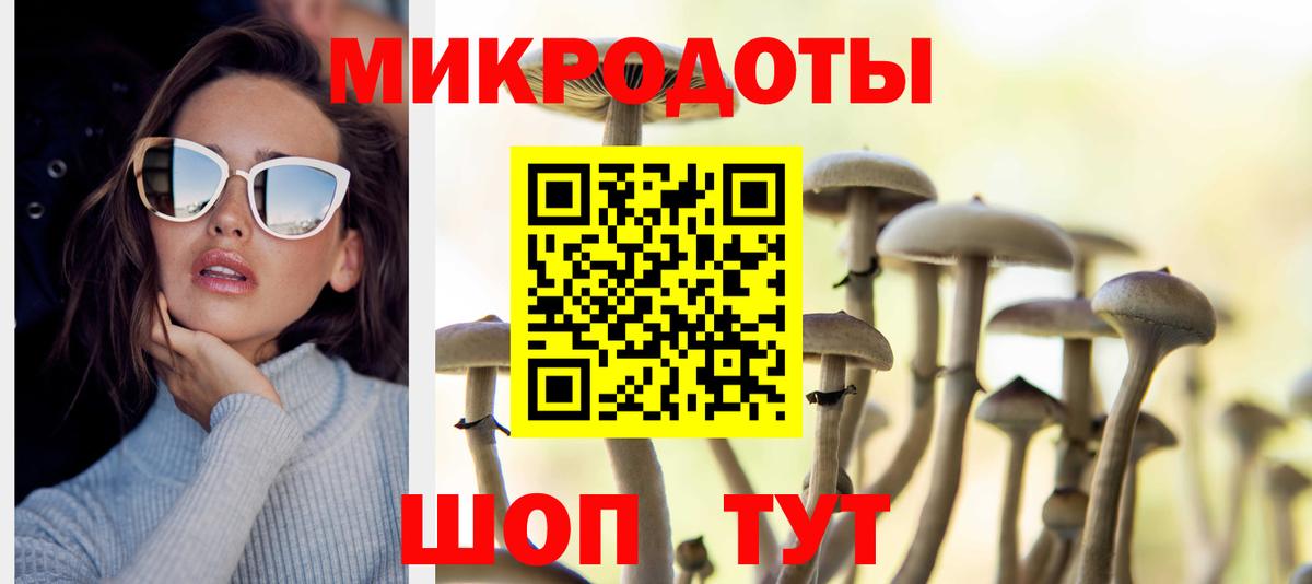 Галлюциногенные грибы GOLDEN TEACHER  Галлюциногенные грибы Psilocybine cubensis  Серов  Вход с VPN 