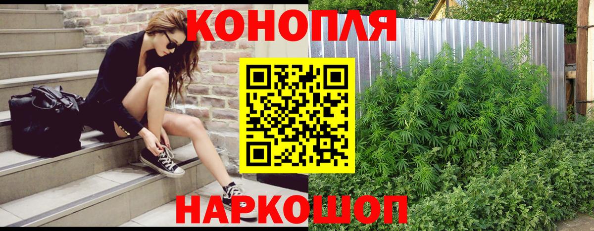 Шишки марихуана SATIVA & INDICA  Шишки марихуана план  Каннабис MAZAR  Серов 